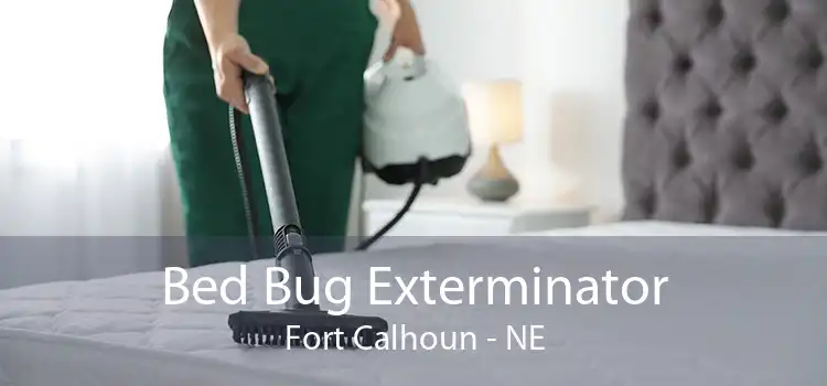 Bed Bug Exterminator Fort Calhoun - NE