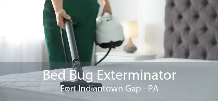 Bed Bug Exterminator Fort Indiantown Gap - PA