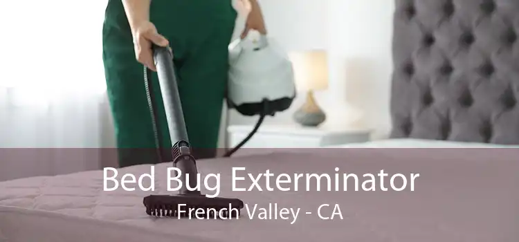 Bed Bug Exterminator French Valley - CA