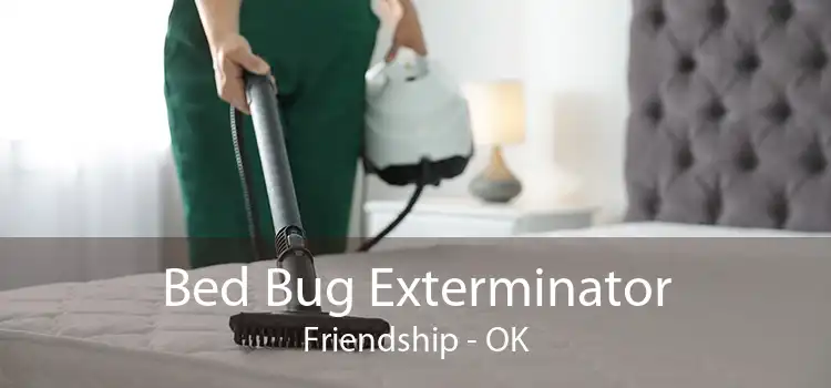 Bed Bug Exterminator Friendship - OK