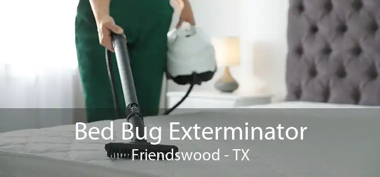 Bed Bug Exterminator Friendswood - TX