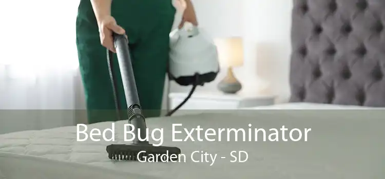 Bed Bug Exterminator Garden City - SD