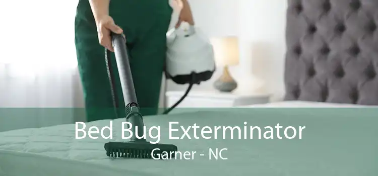 Bed Bug Exterminator Garner - NC