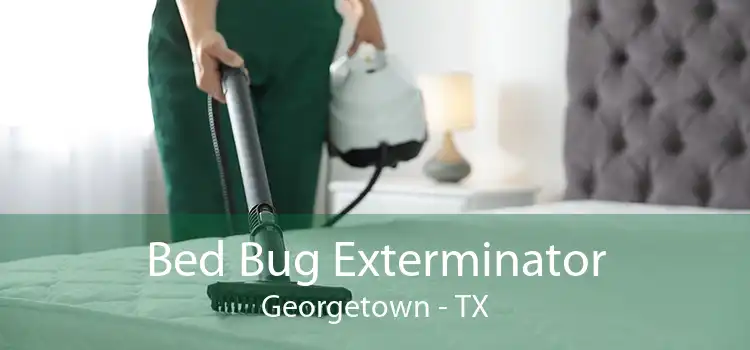 Bed Bug Exterminator Georgetown - TX