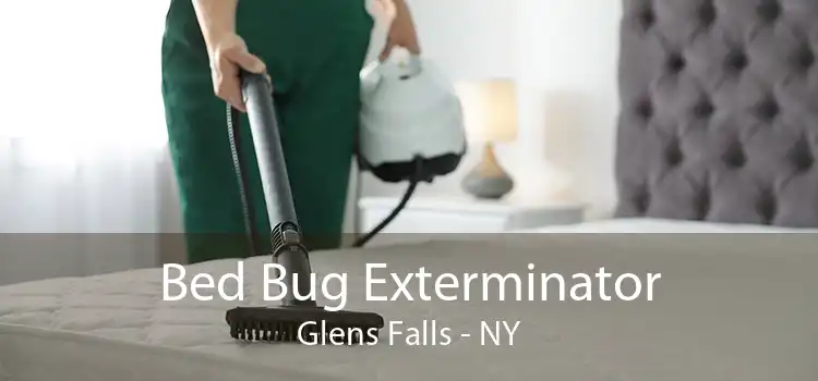 Bed Bug Exterminator Glens Falls - NY