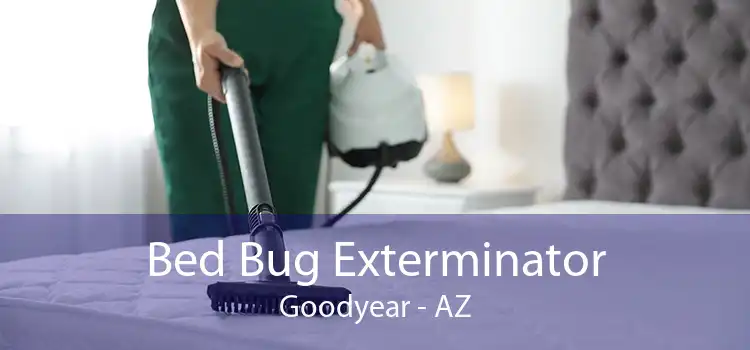 Bed Bug Exterminator Goodyear - AZ