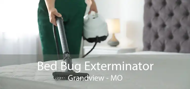 Bed Bug Exterminator Grandview - MO