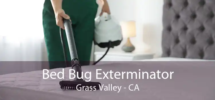 Bed Bug Exterminator Grass Valley - CA