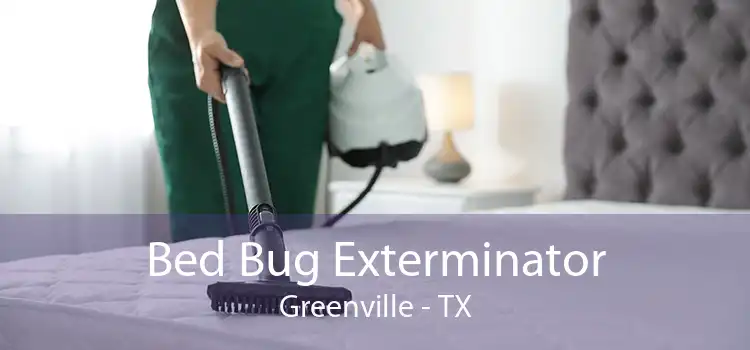 Bed Bug Exterminator Greenville - TX