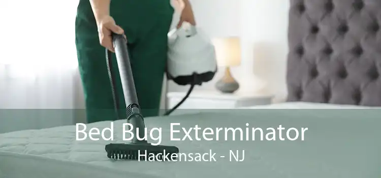 Bed Bug Exterminator Hackensack - NJ