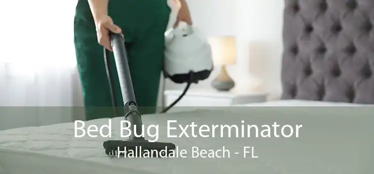 Bed Bug Exterminator Hallandale Beach - FL