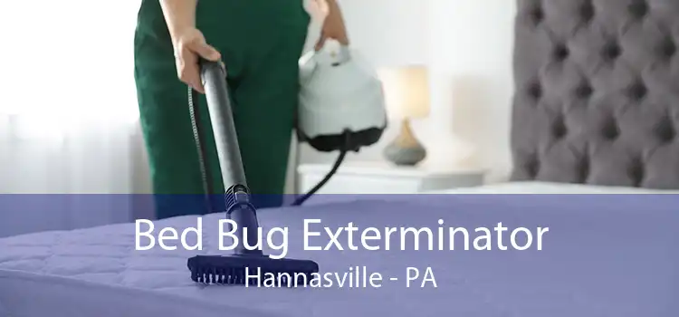 Bed Bug Exterminator Hannasville - PA