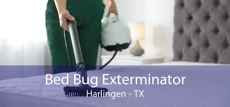 Bed Bug Exterminator Harlingen - TX