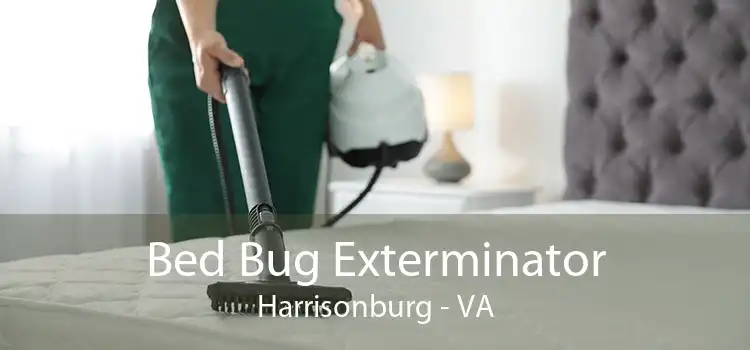 Bed Bug Exterminator Harrisonburg - VA