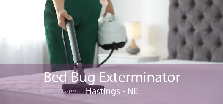 Bed Bug Exterminator Hastings - NE