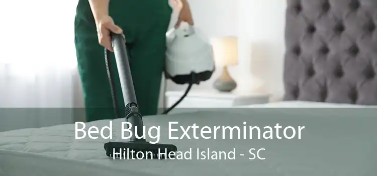 Bed Bug Exterminator Hilton Head Island - SC