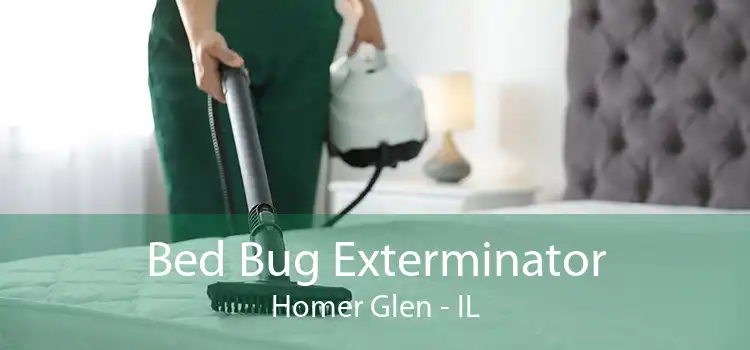 Bed Bug Exterminator Homer Glen - IL