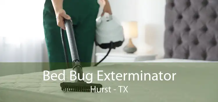 Bed Bug Exterminator Hurst - TX