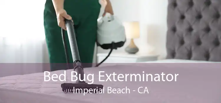 Bed Bug Exterminator Imperial Beach - CA