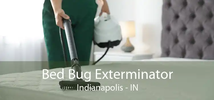 Bed Bug Exterminator Indianapolis - IN