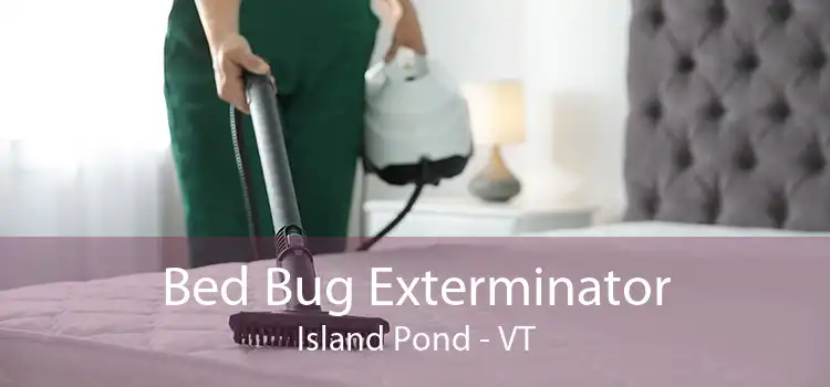 Bed Bug Exterminator Island Pond - VT