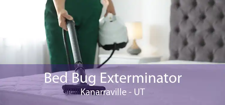 Bed Bug Exterminator Kanarraville - UT