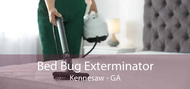 Bed Bug Exterminator Kennesaw - GA