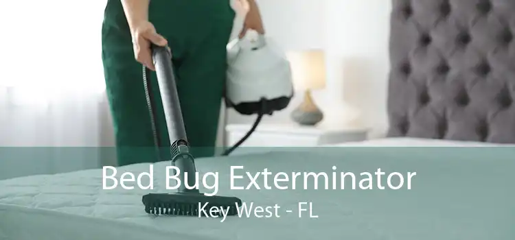 Bed Bug Exterminator Key West - FL