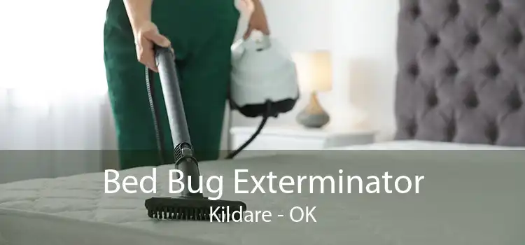 Bed Bug Exterminator Kildare - OK