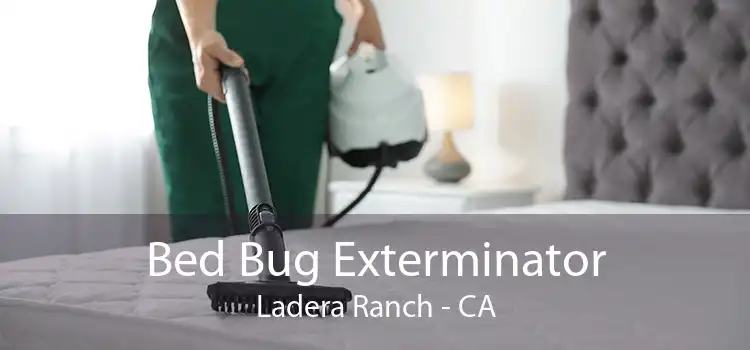 Bed Bug Exterminator Ladera Ranch - CA