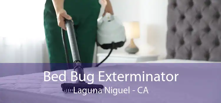 Bed Bug Exterminator Laguna Niguel - CA