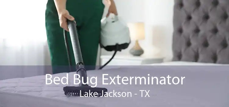 Bed Bug Exterminator Lake Jackson - TX