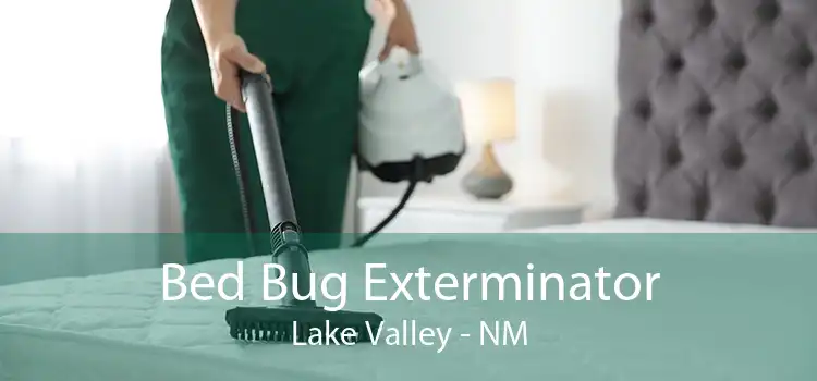 Bed Bug Exterminator Lake Valley - NM