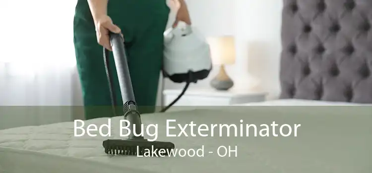 Bed Bug Exterminator Lakewood - OH