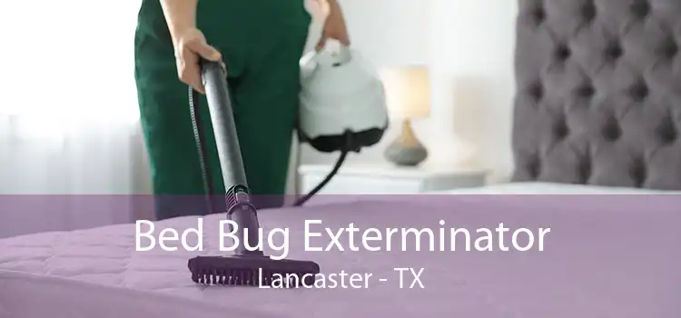 Bed Bug Exterminator Lancaster - TX