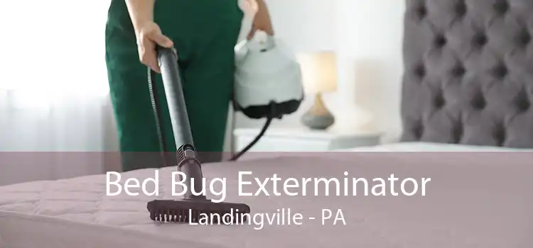 Bed Bug Exterminator Landingville - PA