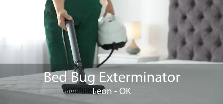 Bed Bug Exterminator Leon - OK