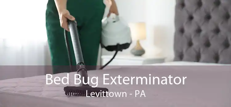 Bed Bug Exterminator Levittown - PA