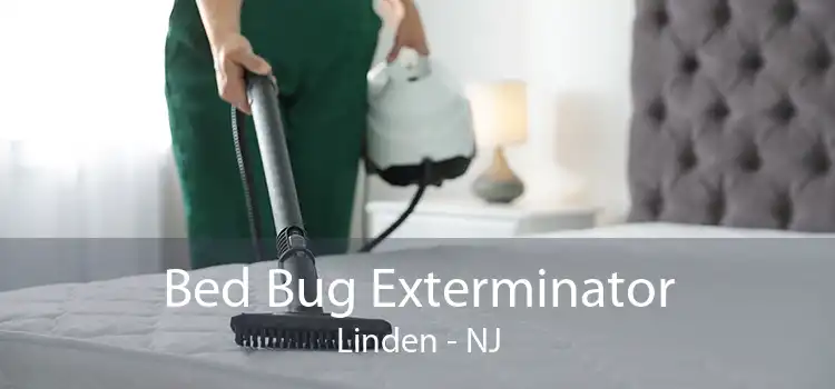 Bed Bug Exterminator Linden - NJ