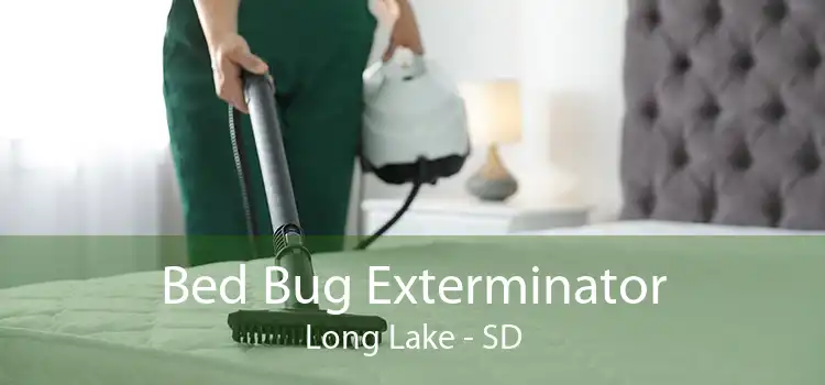 Bed Bug Exterminator Long Lake - SD