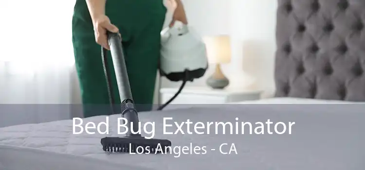 Bed Bug Exterminator Los Angeles - CA