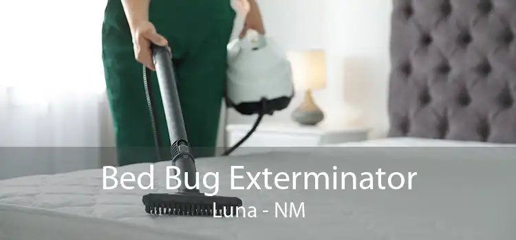 Bed Bug Exterminator Luna - NM