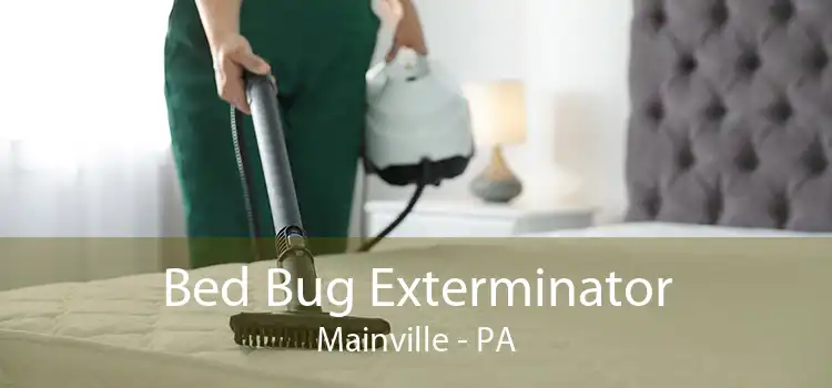 Bed Bug Exterminator Mainville - PA