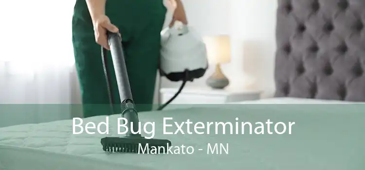 Bed Bug Exterminator Mankato - MN