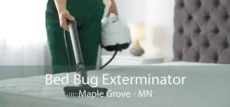 Bed Bug Exterminator Maple Grove - MN