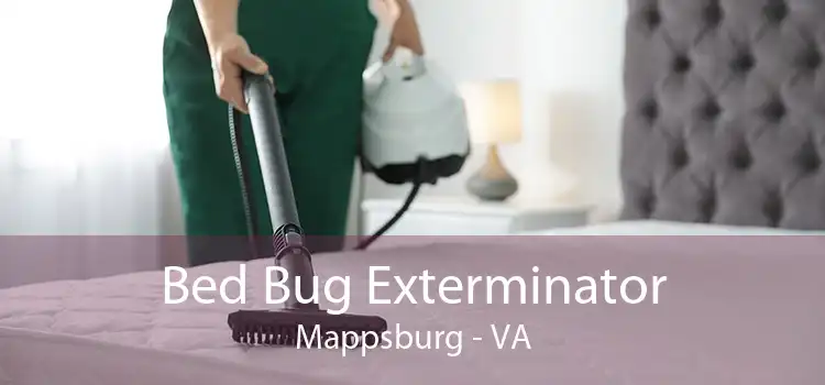 Bed Bug Exterminator Mappsburg - VA