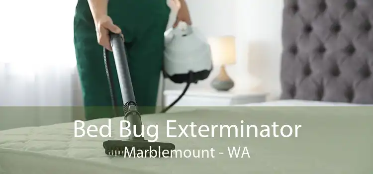 Bed Bug Exterminator Marblemount - WA