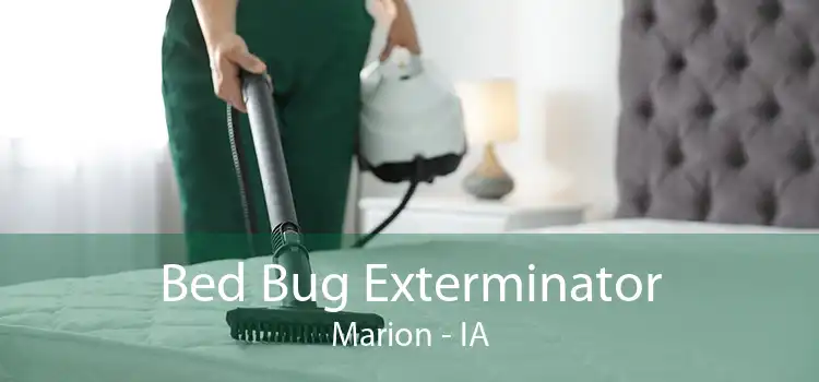 Bed Bug Exterminator Marion - IA