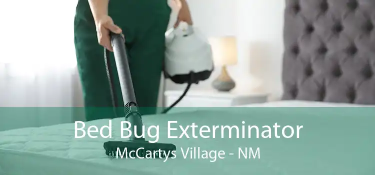 Bed Bug Exterminator McCartys Village - NM