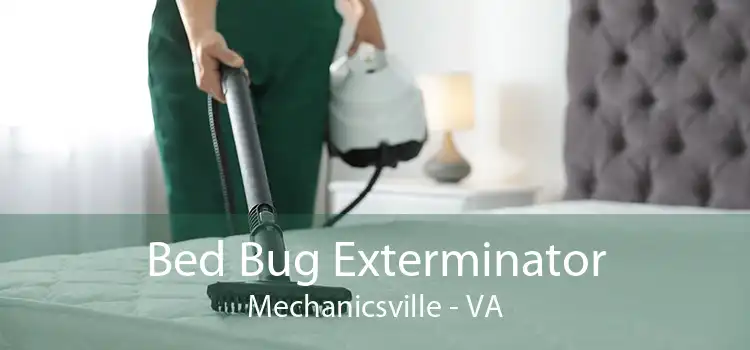 Bed Bug Exterminator Mechanicsville - VA